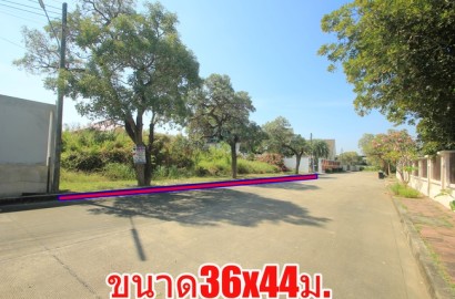 ที่ดินวริยาวิลล์บรมราชชนนี ปิ่นเกล้า นครชัยศรี ที่ดินสร้างบ้าน 396.8 ตารางวา ต้นโครงการถนนเมนกว้าง ใกล้มหิดลศาลายา เซ็นทรัลศาลายา ใกล้ถนนใหญ่เดินได้ไม่เปลี่ยว