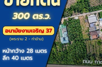 ขายที่ดิน 300 ตร.ว. ซอยอนามัยงามเจริญ 37 พระราม 2 - ท่าข้าม