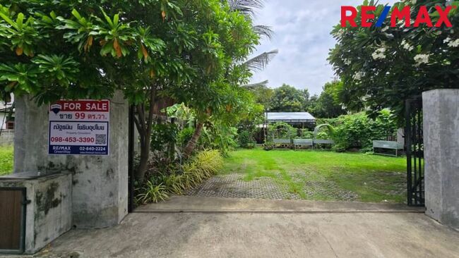 ปรับราคาพิเศษ (ลด 2.2 ล้าน) ขายที่ดิน ลาดพร้าว ซ.81, 99 ตร.วา แปลงมุมใน ที่ดินถมแล้ว นานกว่า ( 10 ปี+ ) ดินSetตัวดีแล้ว เหมาะกับการสร้างบ้าน ใกล้ MRT ลาดพร้าว 81 เพียง 950 ม.