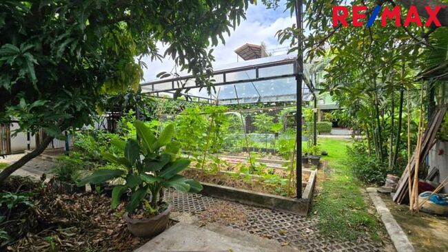 ปรับราคาพิเศษ (ลด 2.2 ล้าน) ขายที่ดิน ลาดพร้าว ซ.81, 99 ตร.วา แปลงมุมใน ที่ดินถมแล้ว นานกว่า ( 10 ปี+ ) ดินSetตัวดีแล้ว เหมาะกับการสร้างบ้าน ใกล้ MRT ลาดพร้าว 81 เพียง 950 ม.