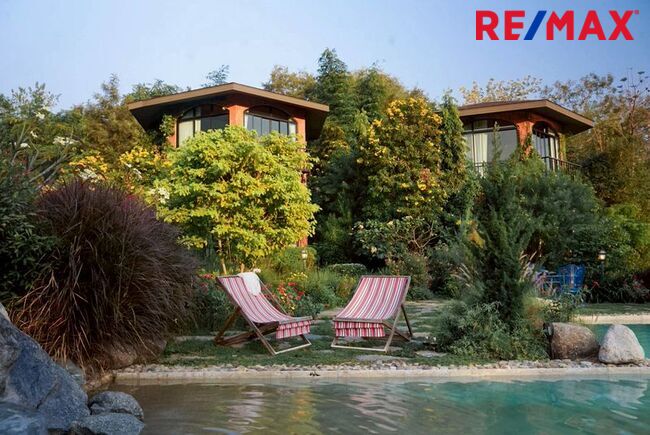 มาแล้ว! [New Listing!] A Riverside Eden Retreat ที่ [ The Elephant Treehouse : บ้านต้นไม้ กาญจนบุรี ]